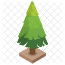 Pine Tree Conifer Tree Nature Icon