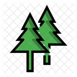 Pine Tree  Icon