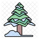 Pine Tree Snow Icon