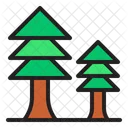 Pine Tree Spring Season Icon