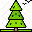 Spruce Icon