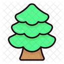 Pine tree  Icon