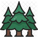 Pine Tree Wild Forest Icon