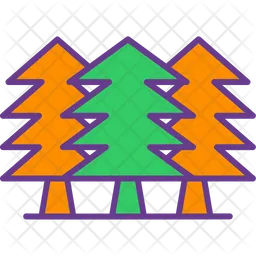 Pine Tree  Icon