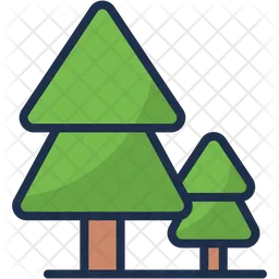 Pine tree  Icon