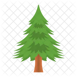 Pine Tree  Icon