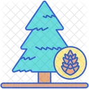Pine Tree Pine Tree Icon