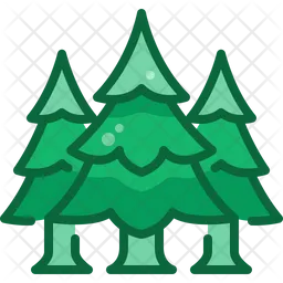 Pine tree  Icon