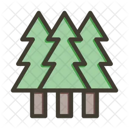 Pine Tree  Icon