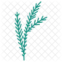 Christmas Branch Berry Icon