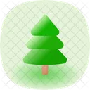 Pine Tree Icon