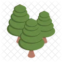 Nature Tree Pine Icon