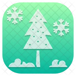 Pine tree  Icon