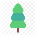 Pine Tree Tree Spruce Icon