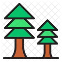 Pine Tree  Icon