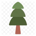 Pine Tree  Icon