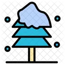 Pine tree  Icon