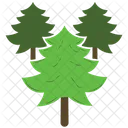 Pine Trees Forest  Icon