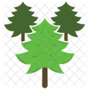 Pine Trees Forest  Icon