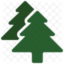 Pine Trees  Icon