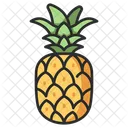 Fruit Pineapple Healthy Icon
