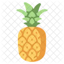 Fruit Pineapple Healthy Icon