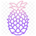 Pineapple Grape Fruit Pomogranate Icon