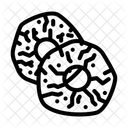 Pineapple  Icon