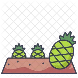 Pineapple Plot  Icon