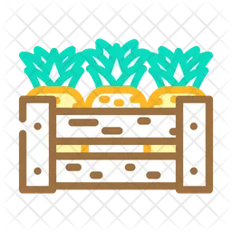 Pineapple Wooden Box  Icon