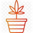 Pineappleweed Flower Nature Icon