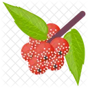 Pine Berry Berry Fruit White Strawberry Icon