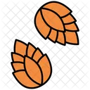 Pinecone Icon