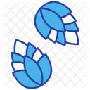 Pinecone Icon