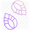 Pinecone Icon