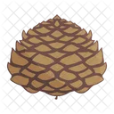 Pinecone  Icon