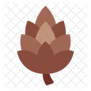 Pinecone  Symbol