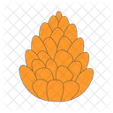 Pinecone Pine Cone Cedar Icon