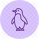 Pingouin Oiseau Arctique Icône
