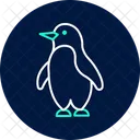 Pingouin Oiseau Arctique Icône