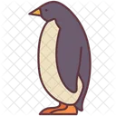 Pinguim  Ícone