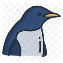 Pinguim Passaros Passaro Icon