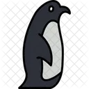Pinguim  Ícone
