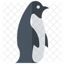 Pinguim, pássaros que não voam  Ícone