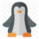 Pinguin Tiere Zoo Icon