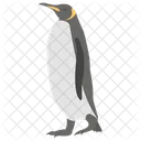 Pinguin Schnabeltier Flugunfahiger Vogel Symbol