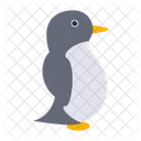 Pinguin Meer Tier Symbol