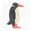 Pinguin Tier Antarktis Icon