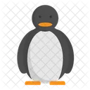 Pinguin  Icon