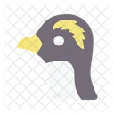 Pinguin  Icon